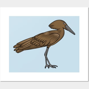 Hamerkop bird cartoon illustration Posters and Art